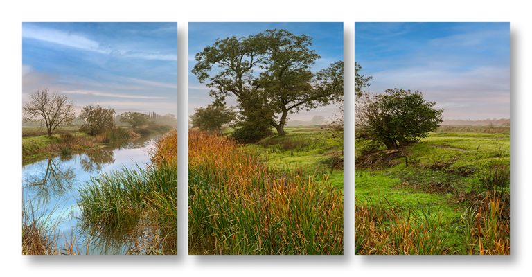 Canal Triptych